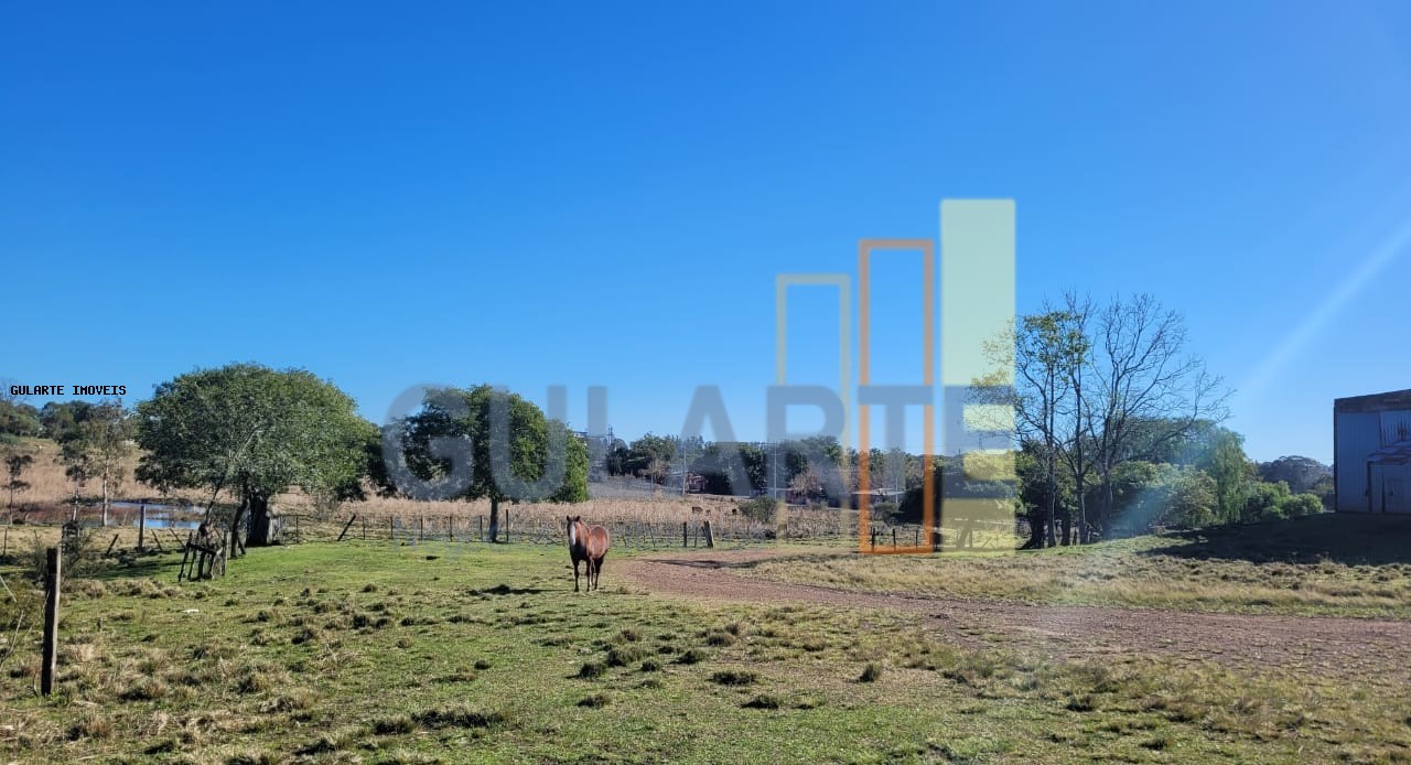 Fazenda, 24 hectares - Foto 35