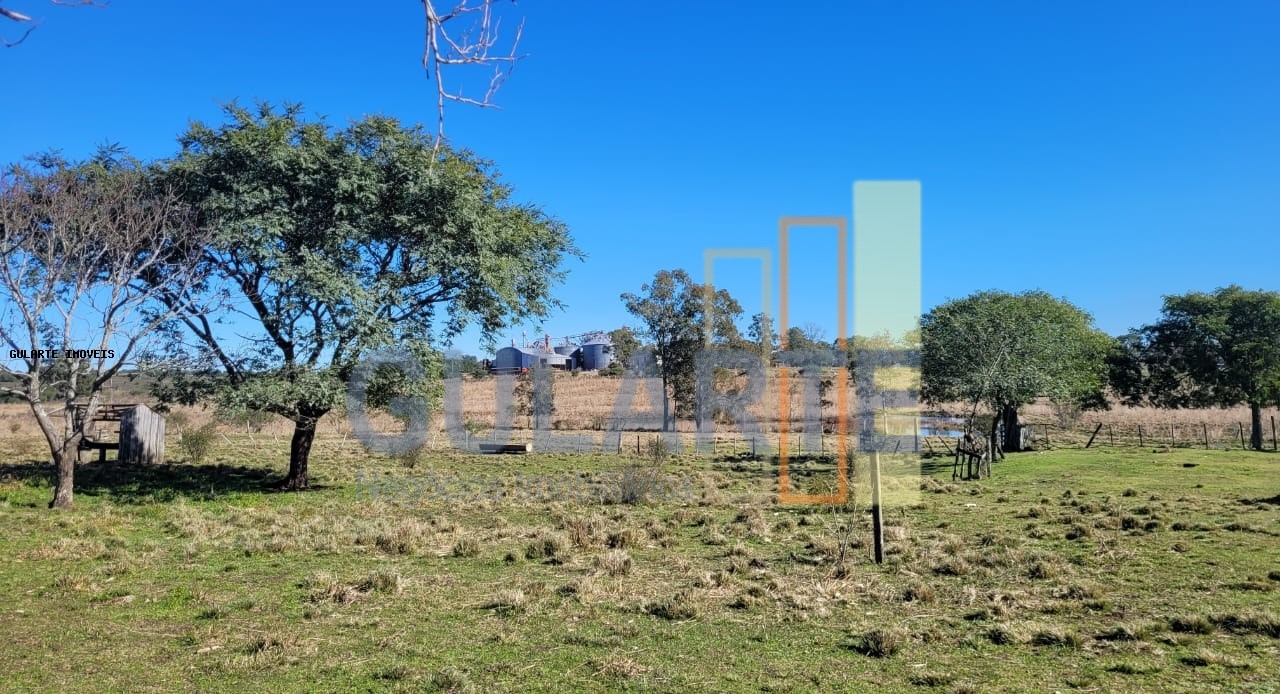 Fazenda, 24 hectares - Foto 36