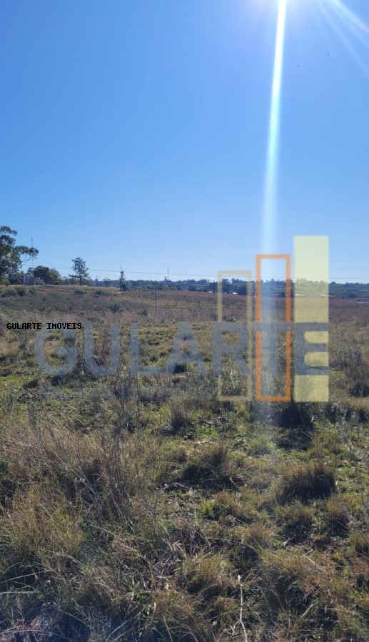 Fazenda, 24 hectares - Foto 37