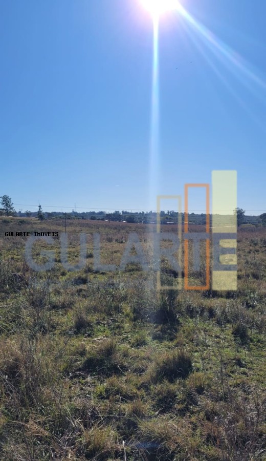 Fazenda, 24 hectares - Foto 38