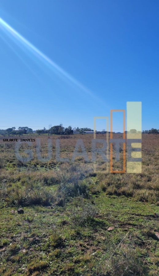 Fazenda, 24 hectares - Foto 40