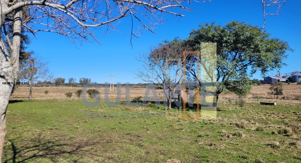 Fazenda, 24 hectares - Foto 39