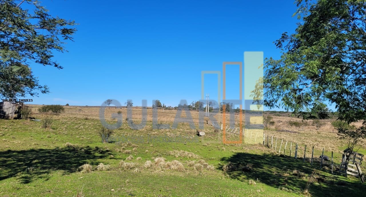 Fazenda, 24 hectares - Foto 42