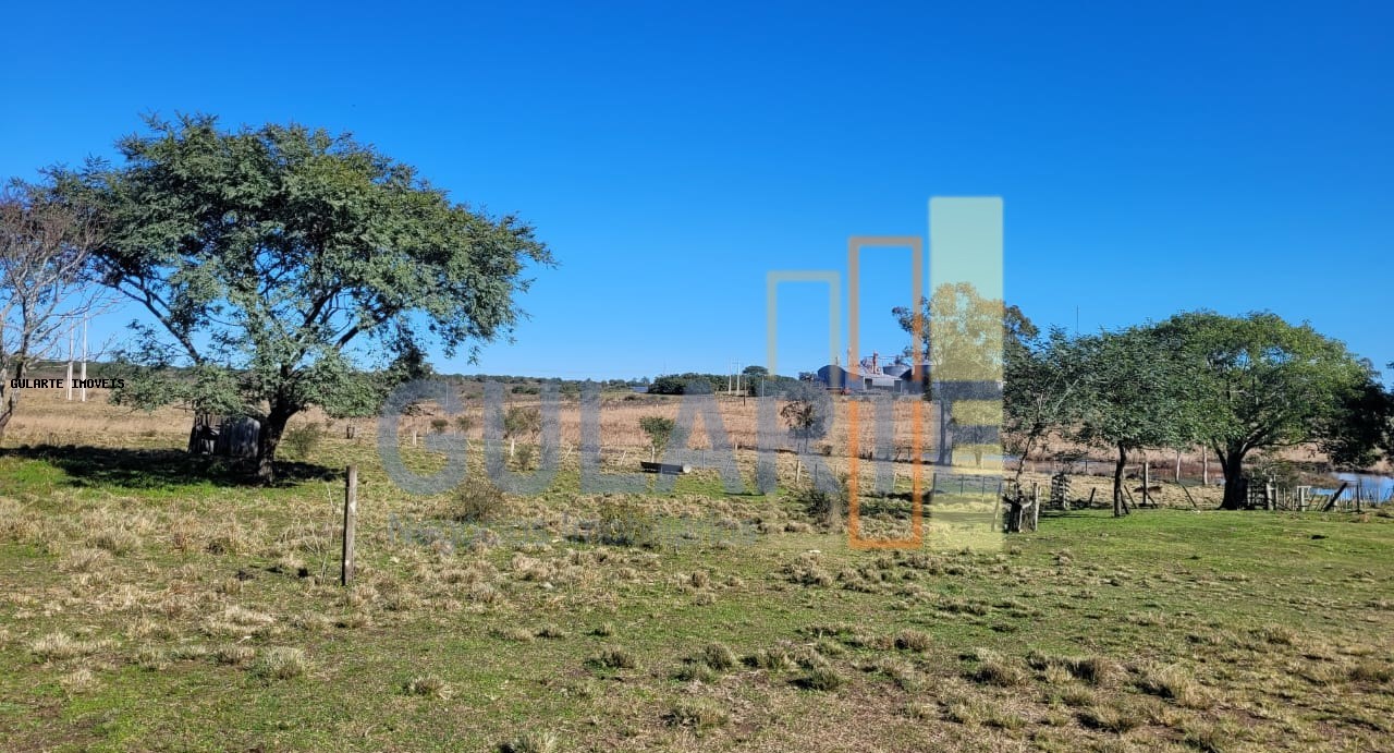 Fazenda, 24 hectares - Foto 41