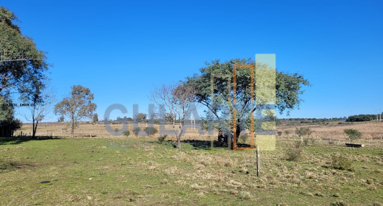 Fazenda, 24 hectares - Foto 43