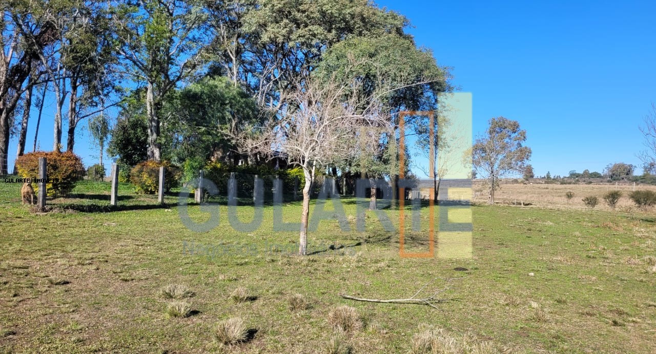 Fazenda, 24 hectares - Foto 44