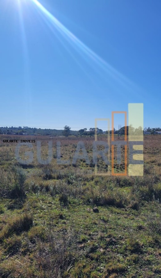 Fazenda, 24 hectares - Foto 45