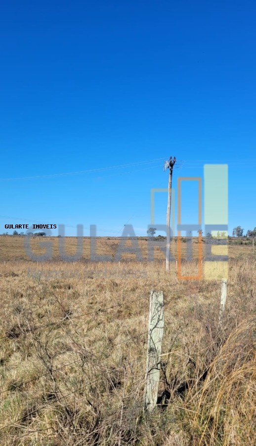 Fazenda, 24 hectares - Foto 47