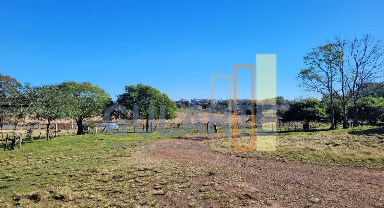 Fazenda, 24 hectares - Foto 46