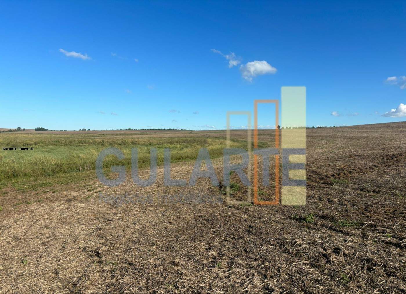 Fazenda, 866 hectares - Foto 2