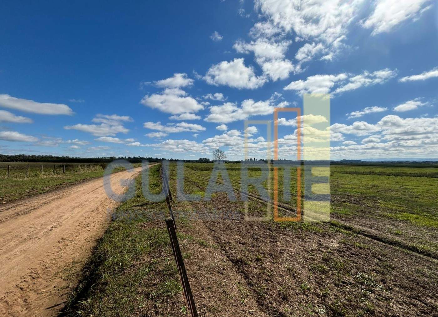 Fazenda, 866 hectares - Foto 3
