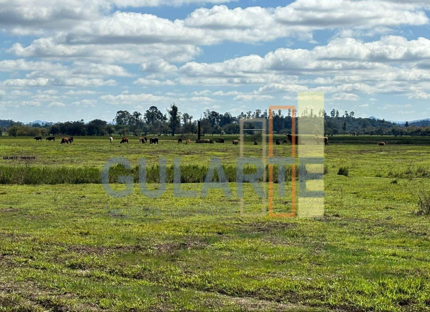 Fazenda, 866 hectares - Foto 4