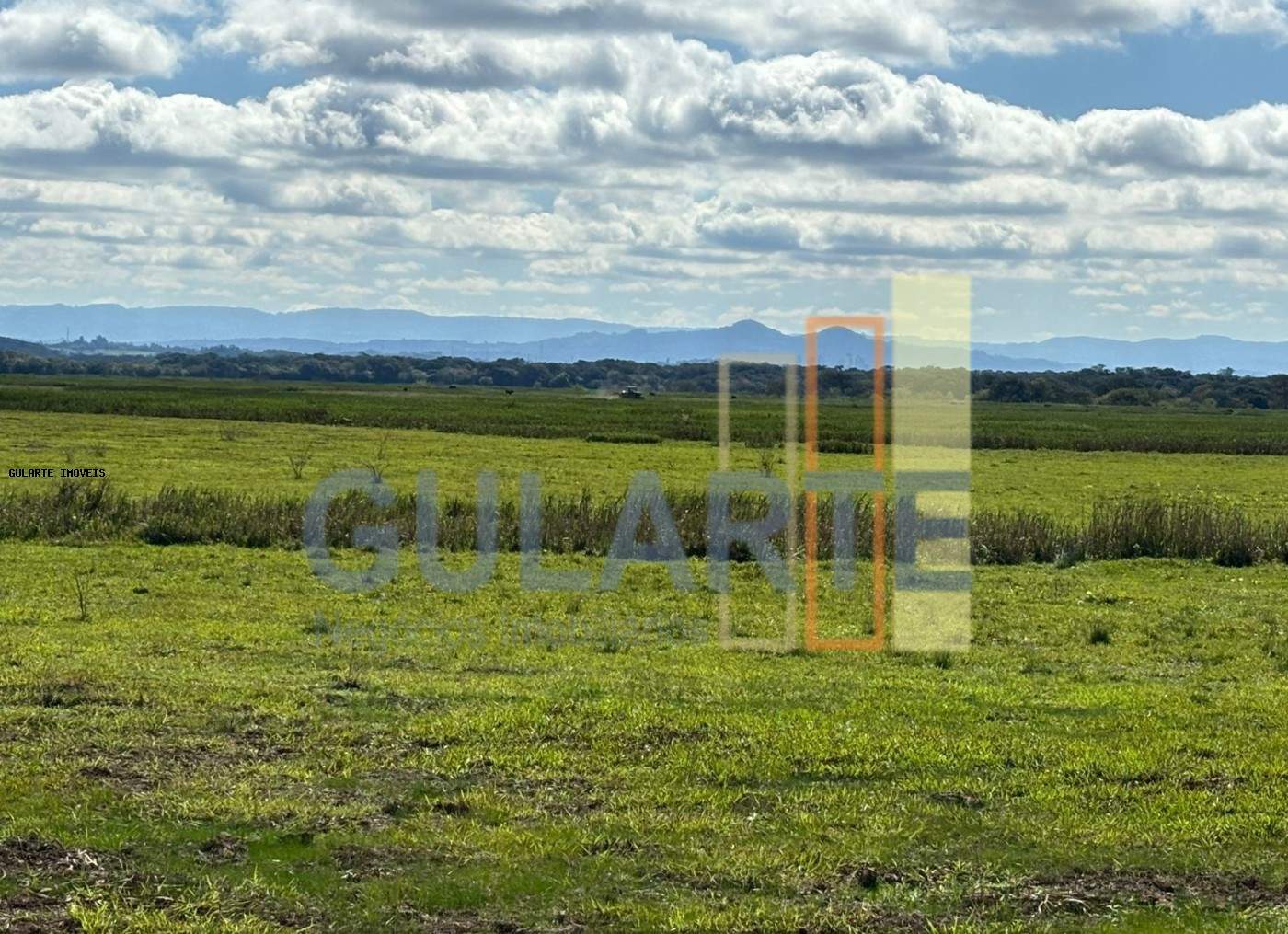 Fazenda, 866 hectares - Foto 5