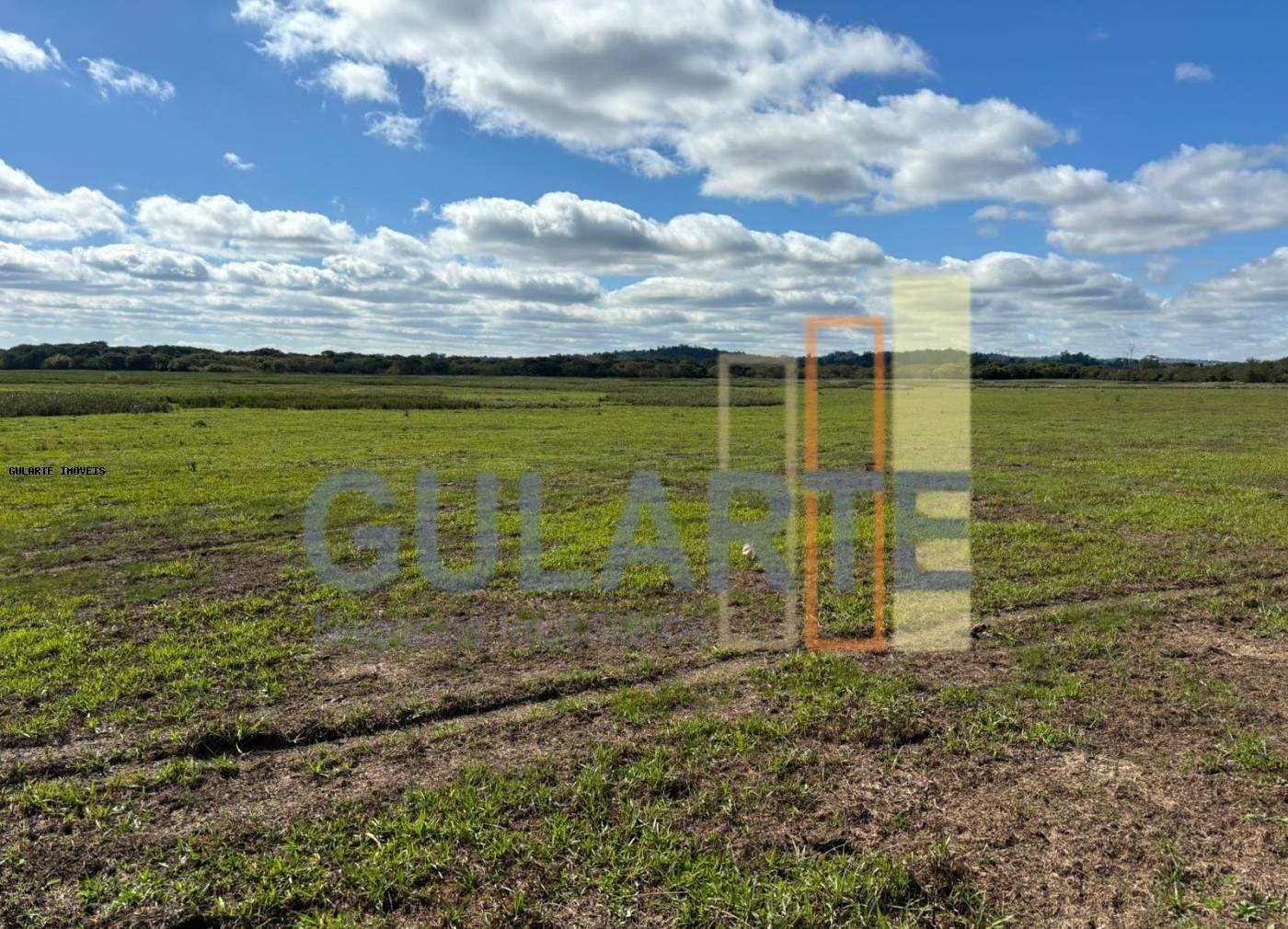 Fazenda, 866 hectares - Foto 6