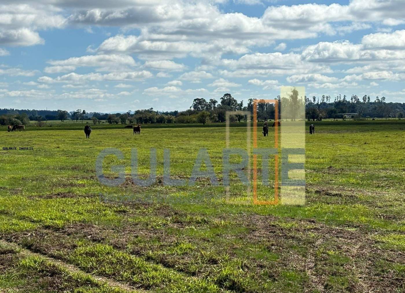 Fazenda, 866 hectares - Foto 7