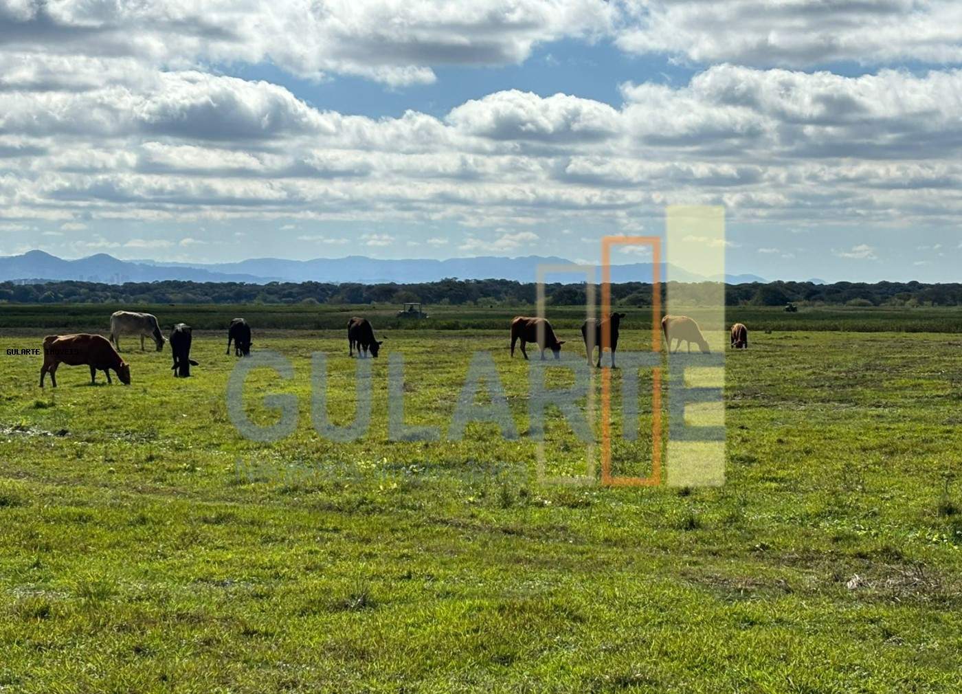 Fazenda, 866 hectares - Foto 8