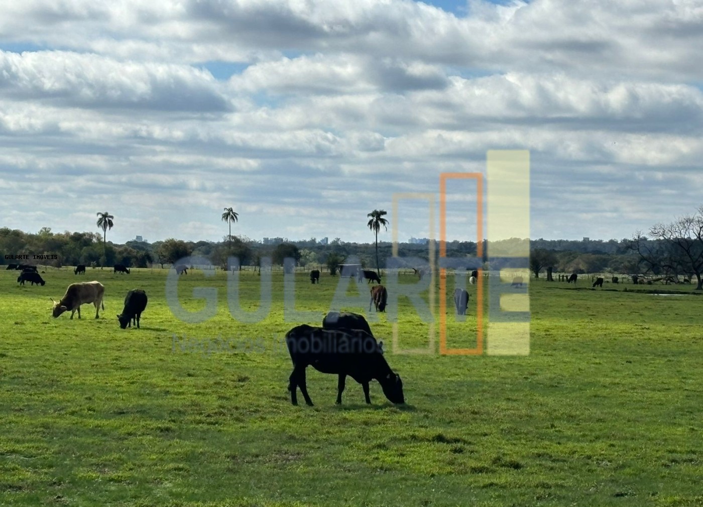 Fazenda, 866 hectares - Foto 9