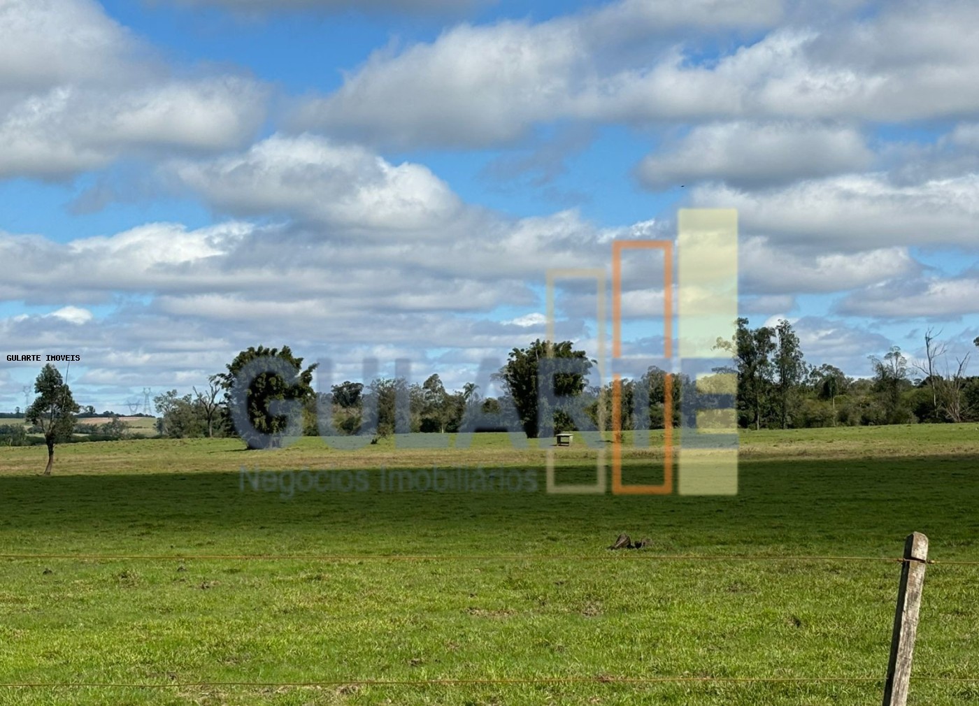 Fazenda, 866 hectares - Foto 10