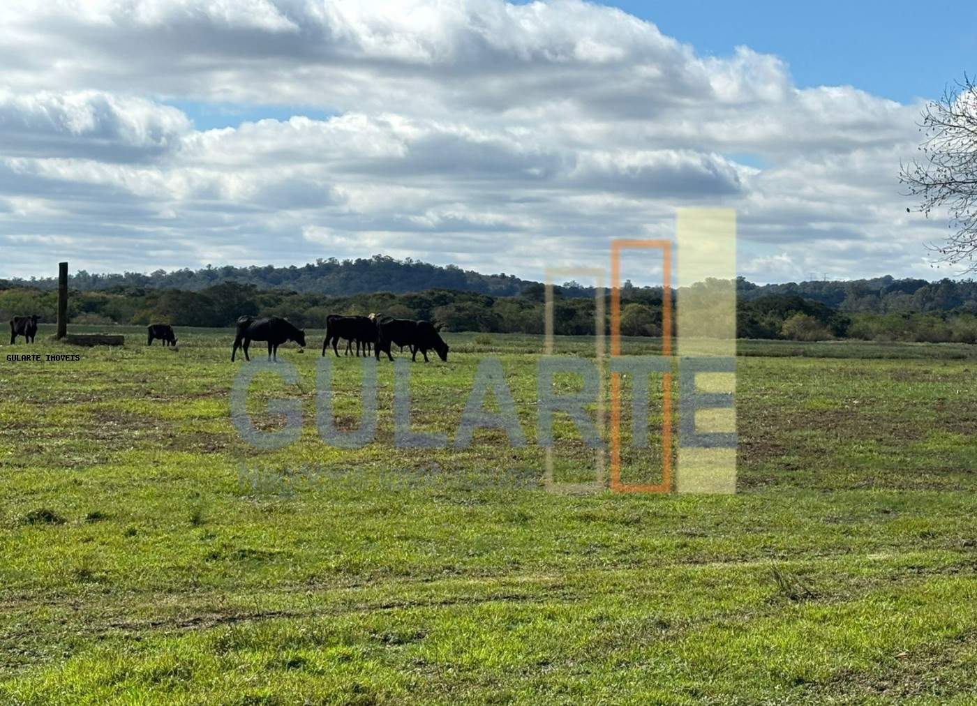 Fazenda, 866 hectares - Foto 12