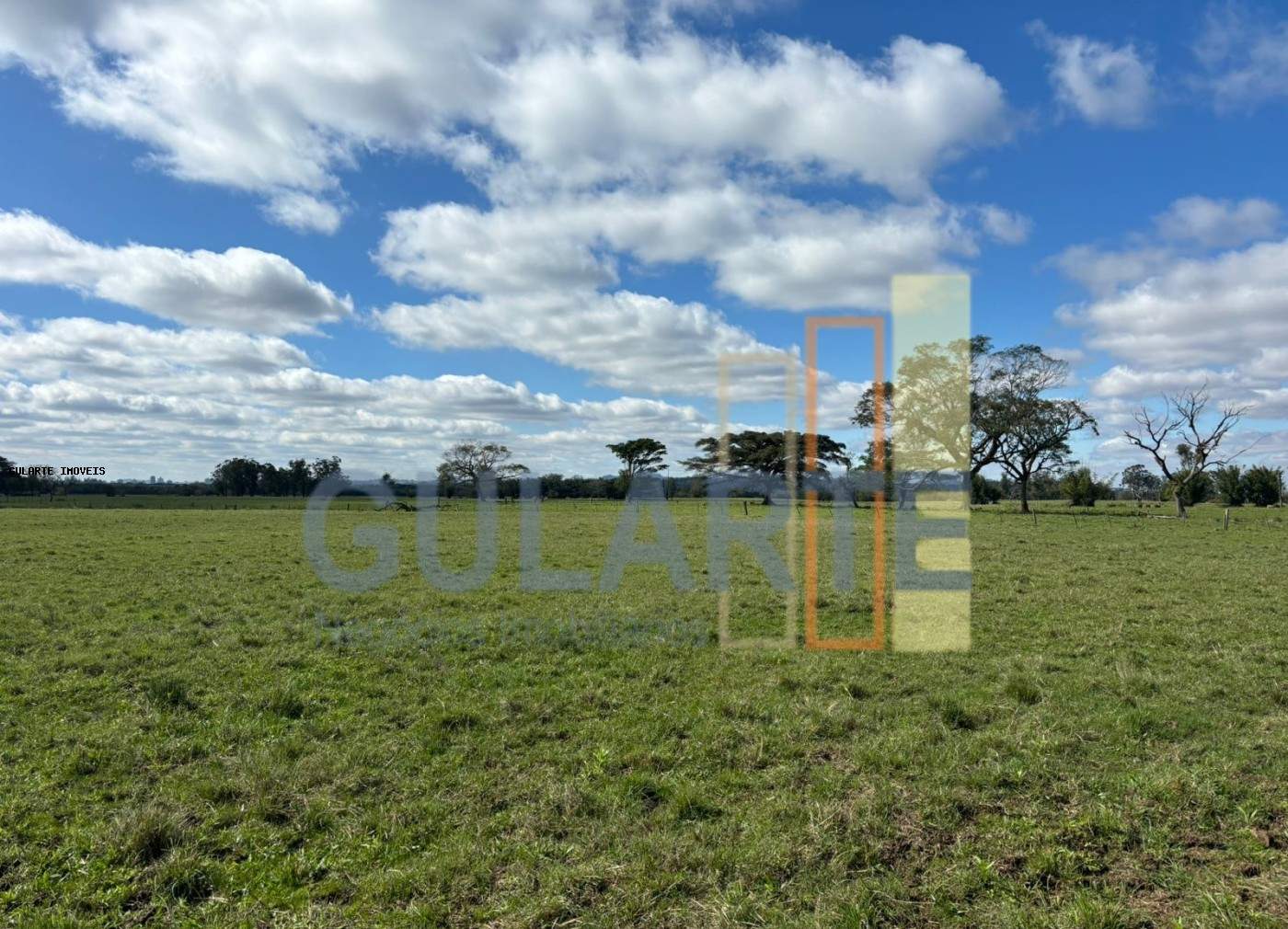 Fazenda, 866 hectares - Foto 14