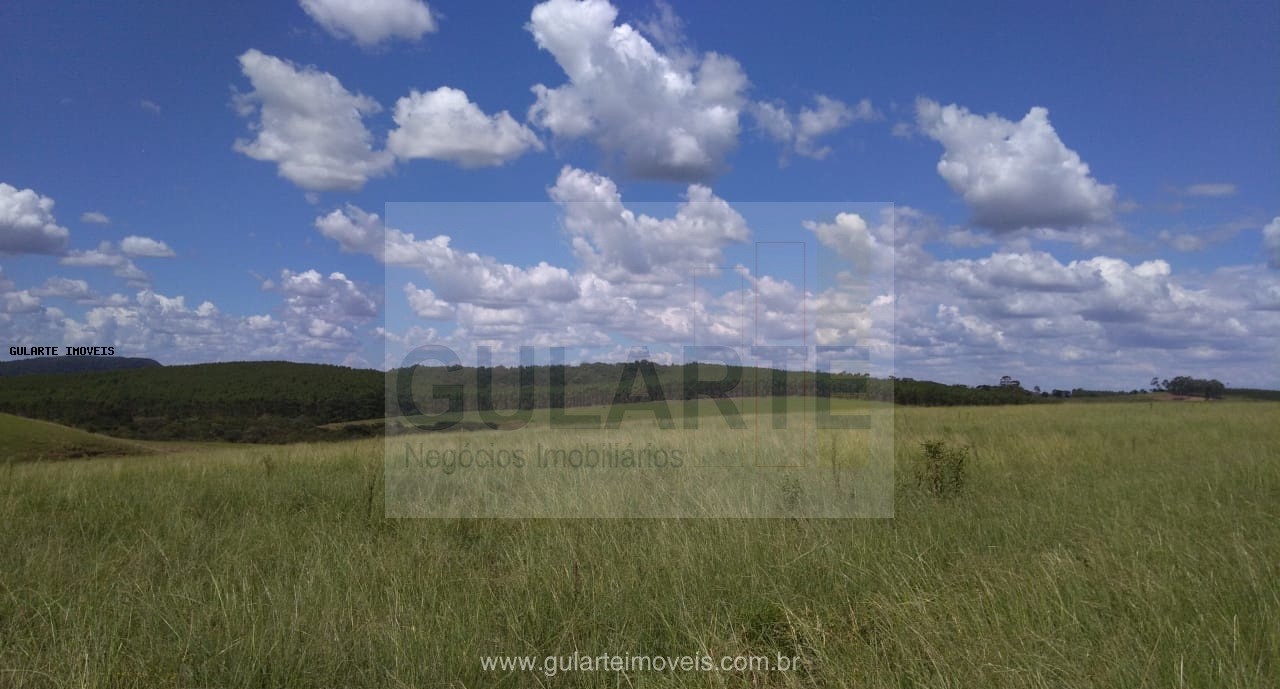 Fazenda, 855 hectares - Foto 3
