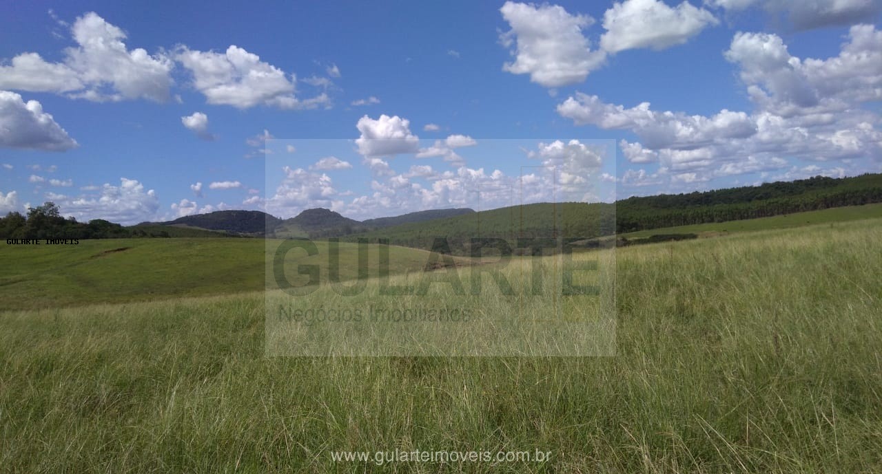 Fazenda, 855 hectares - Foto 6