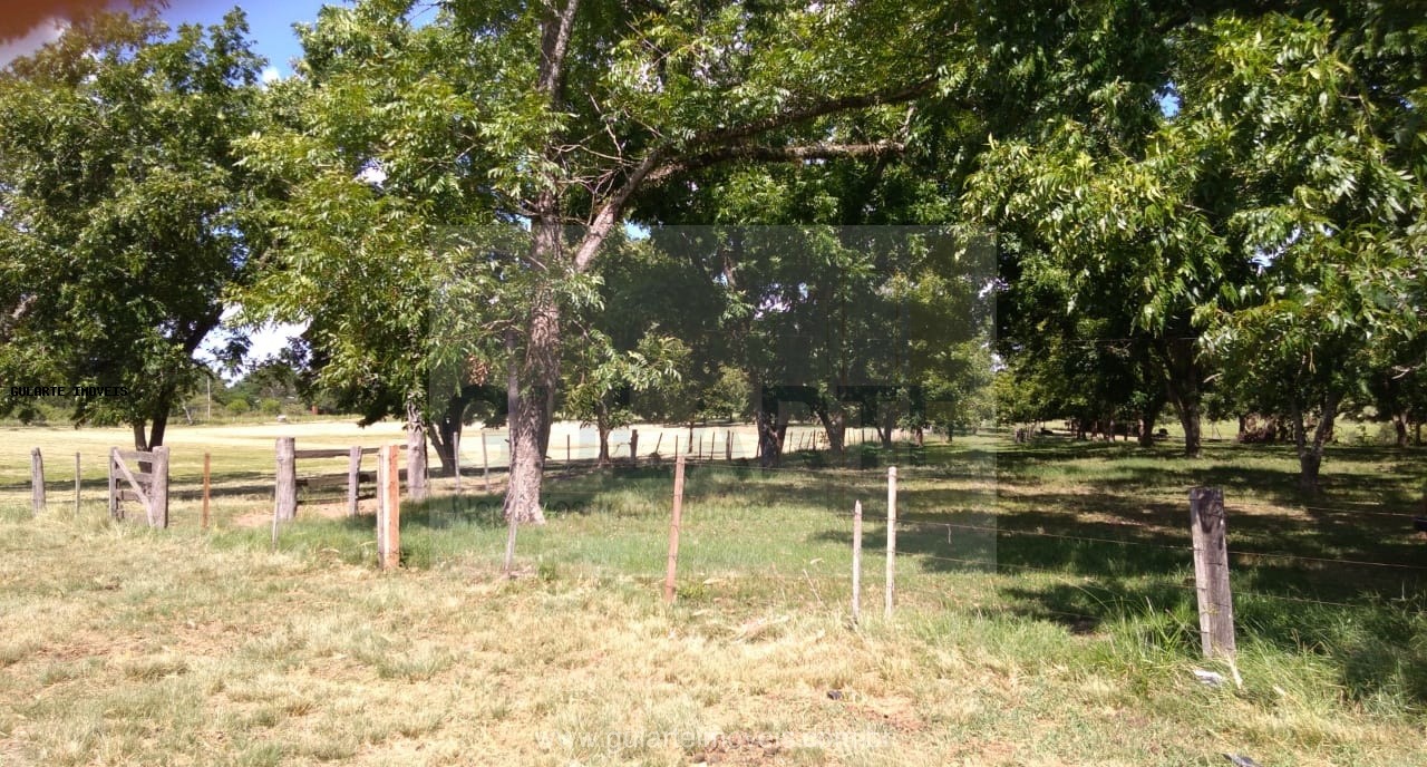 Fazenda, 855 hectares - Foto 7