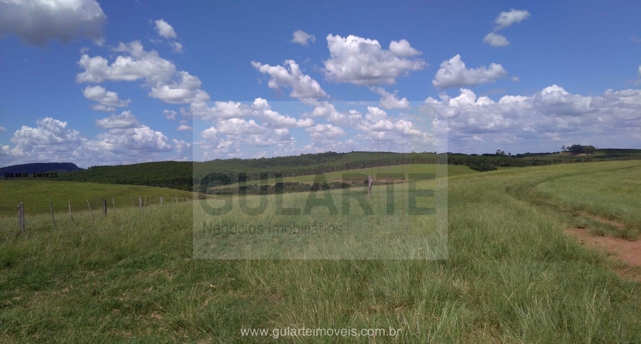 Fazenda, 855 hectares - Foto 8