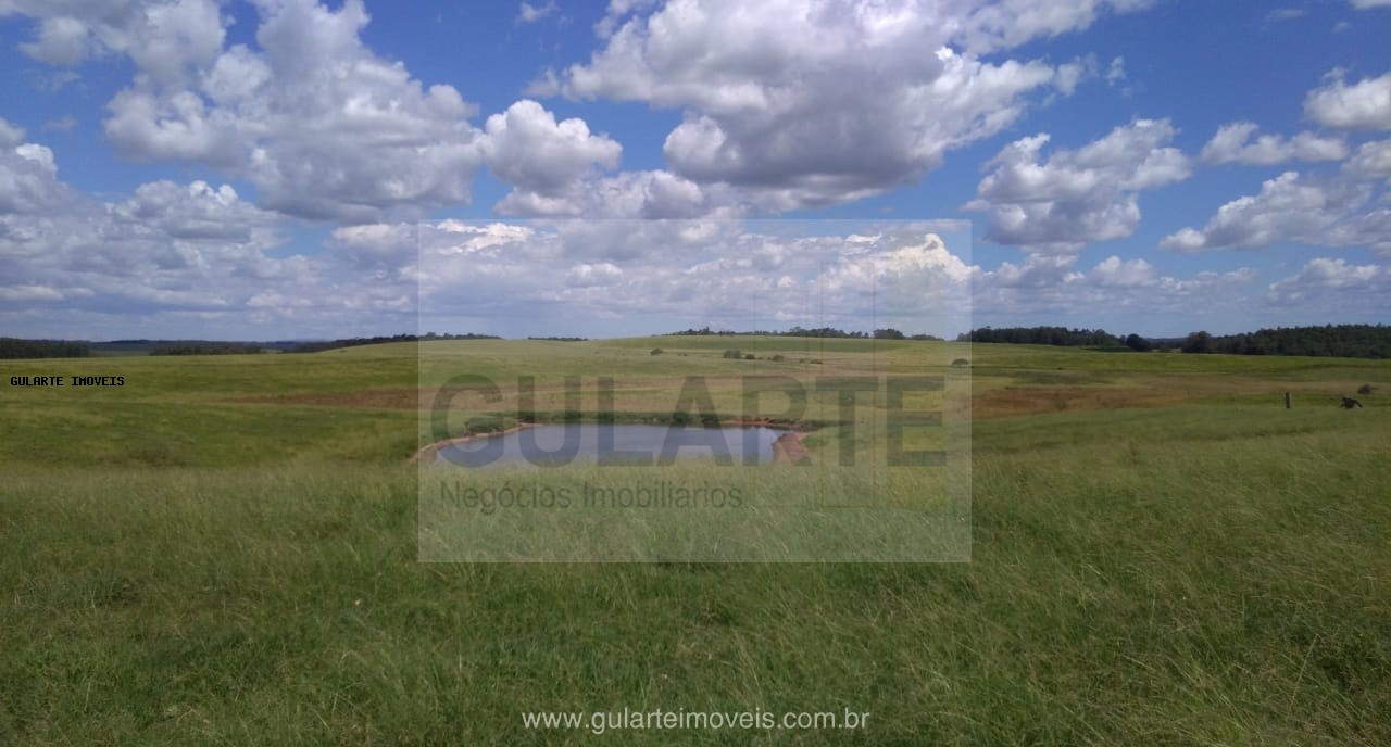 Fazenda, 855 hectares - Foto 9
