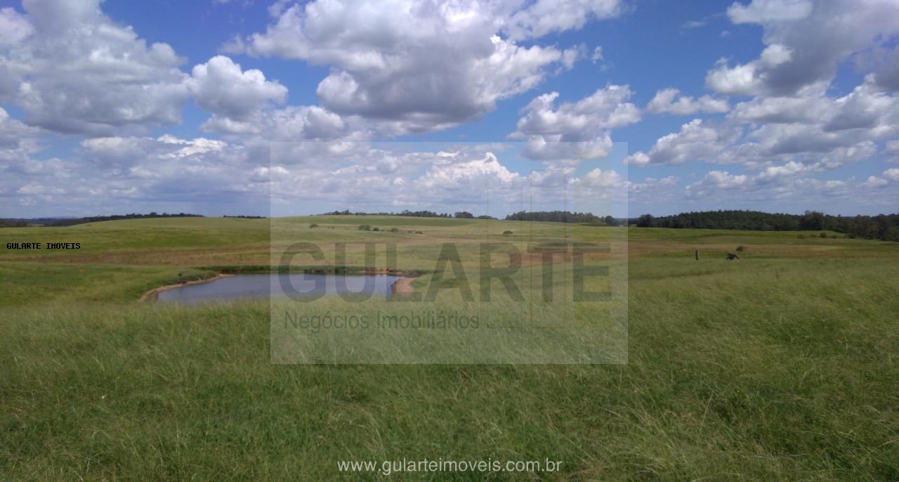 Fazenda, 855 hectares - Foto 10
