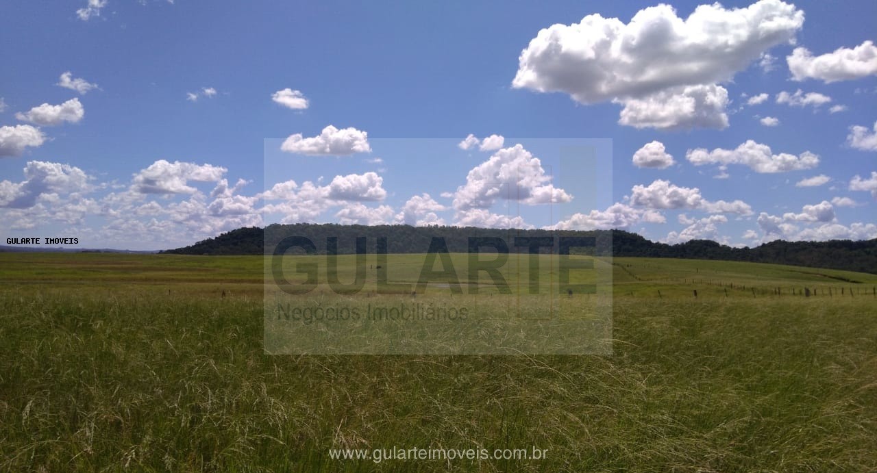 Fazenda, 855 hectares - Foto 11