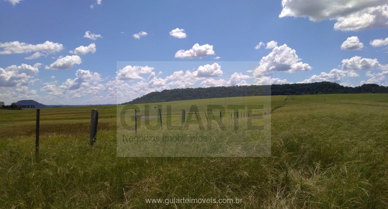 Fazenda, 855 hectares - Foto 12