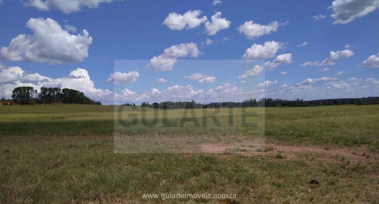 Fazenda, 855 hectares - Foto 13