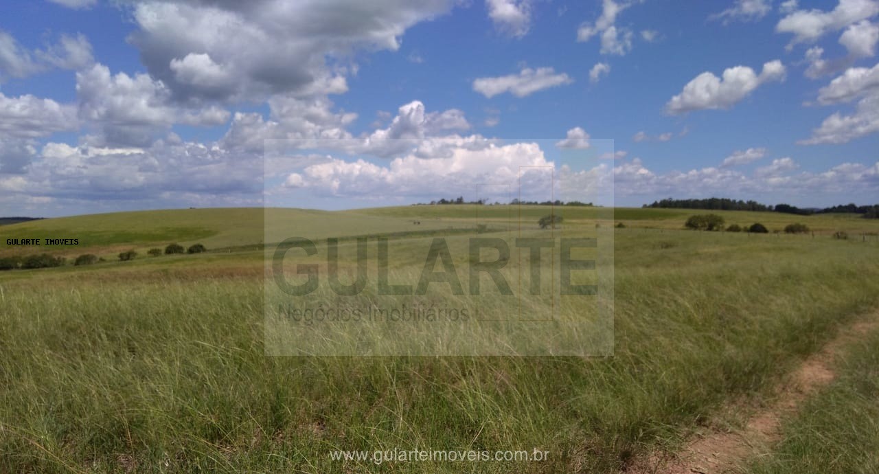 Fazenda, 855 hectares - Foto 14