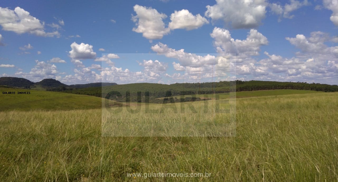 Fazenda, 855 hectares - Foto 16