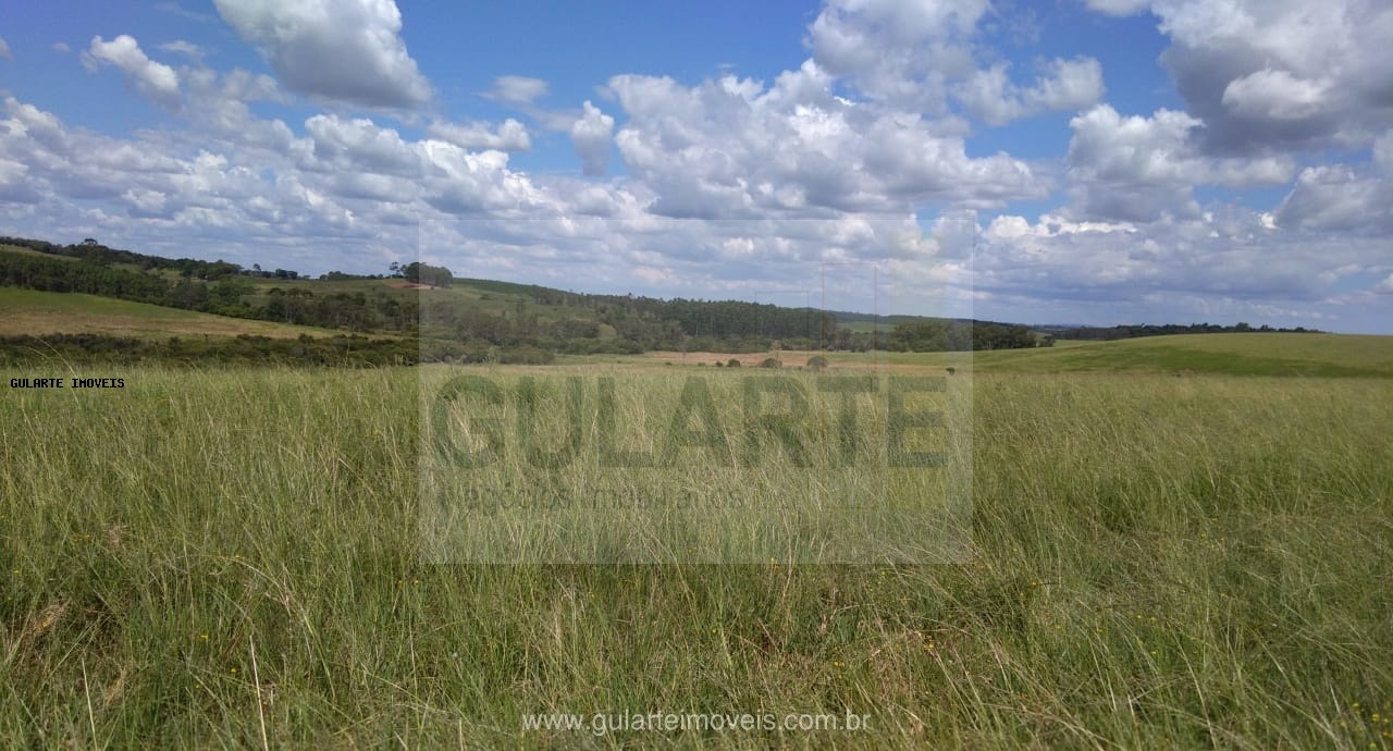 Fazenda, 855 hectares - Foto 19