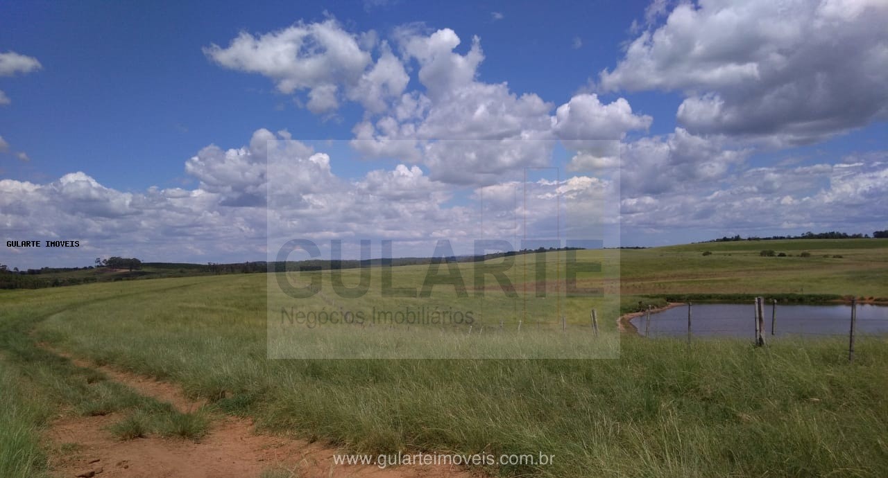 Fazenda, 855 hectares - Foto 20