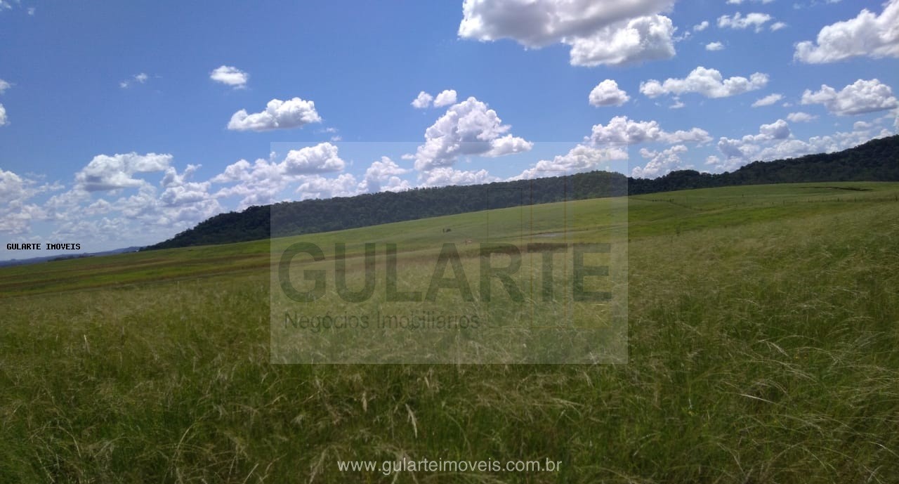 Fazenda, 855 hectares - Foto 21