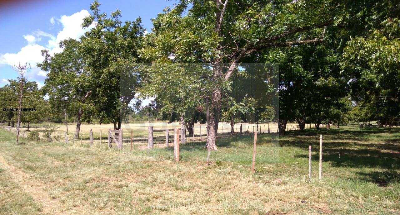 Fazenda, 855 hectares - Foto 22