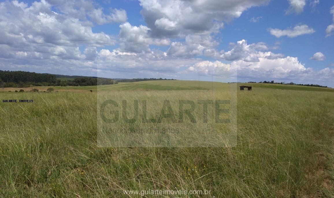 Fazenda, 855 hectares - Foto 24
