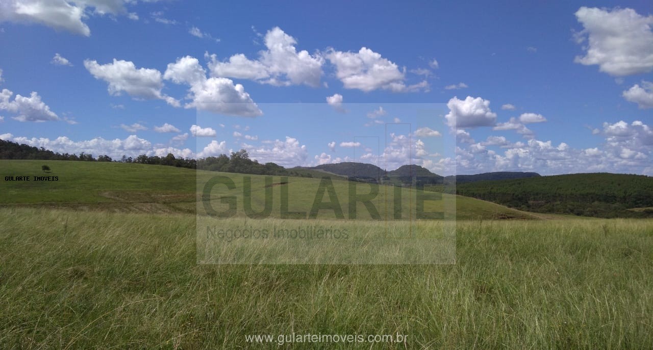 Fazenda, 855 hectares - Foto 25