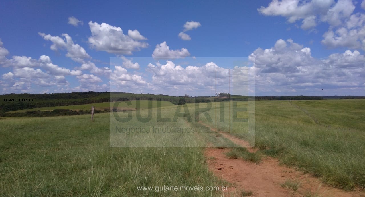 Fazenda, 855 hectares - Foto 28