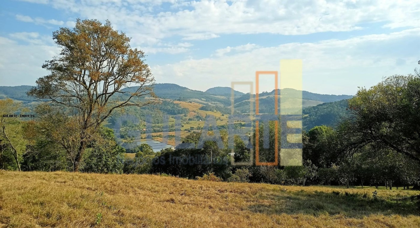 Sítio, 3 quartos, 4 hectares - Foto 1