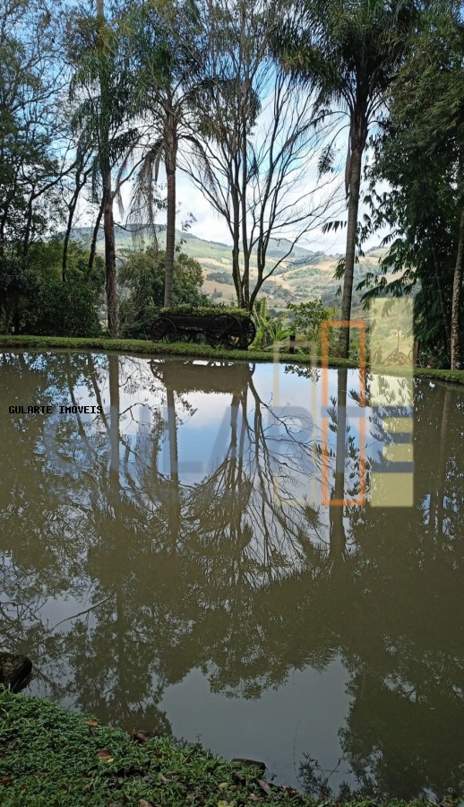 Sítio, 3 quartos, 4 hectares - Foto 4