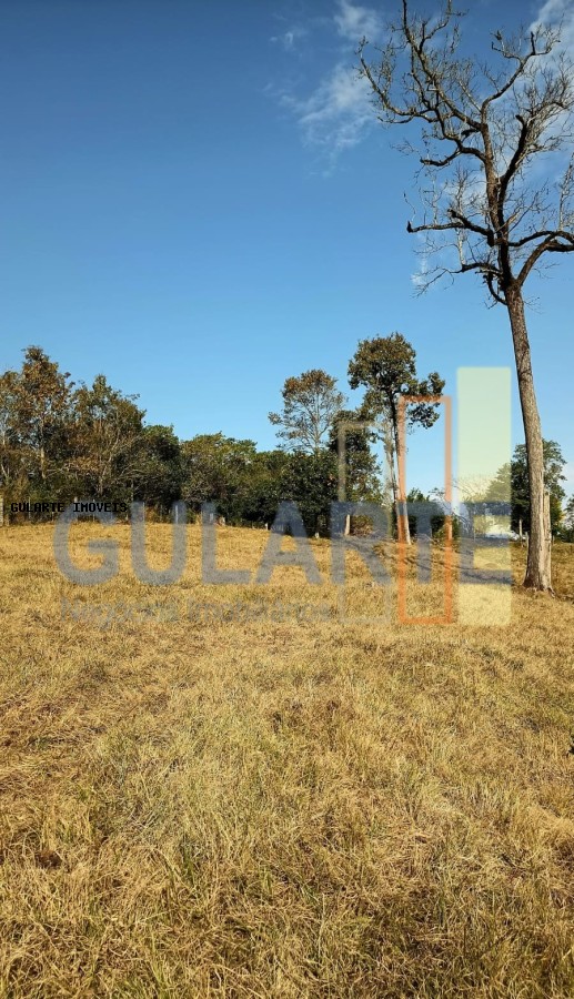 Sítio, 3 quartos, 4 hectares - Foto 3