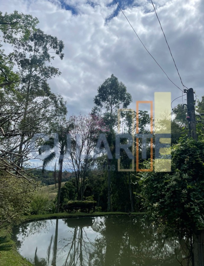 Sítio, 3 quartos, 4 hectares - Foto 5