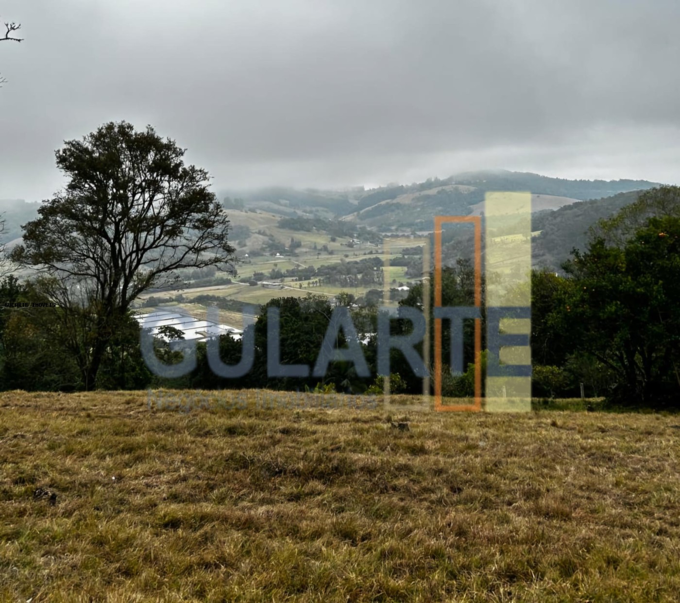 Chácara, 3 quartos, 4 hectares - Foto 6