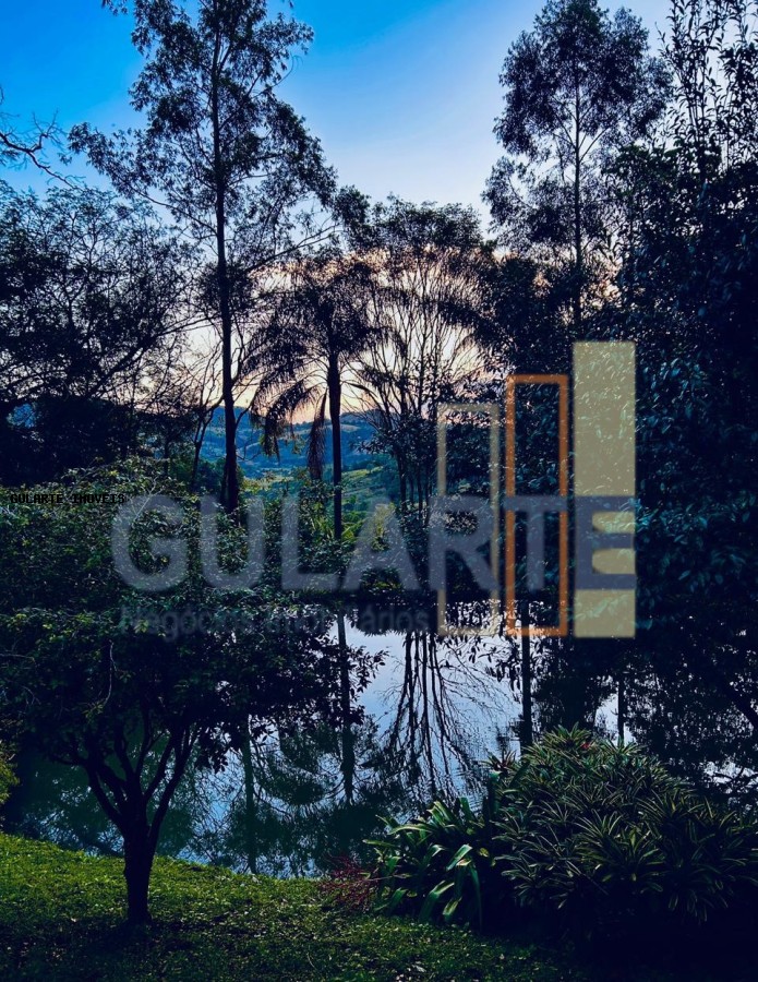 Chácara, 3 quartos, 4 hectares - Foto 7