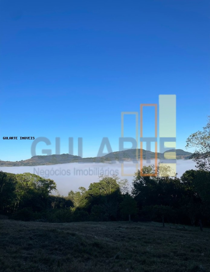 Chácara, 3 quartos, 4 hectares - Foto 9