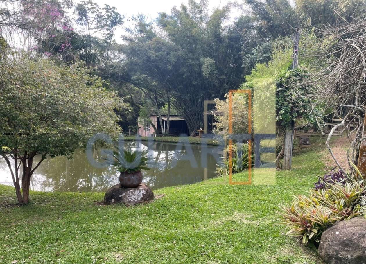 Chácara, 3 quartos, 4 hectares - Foto 11